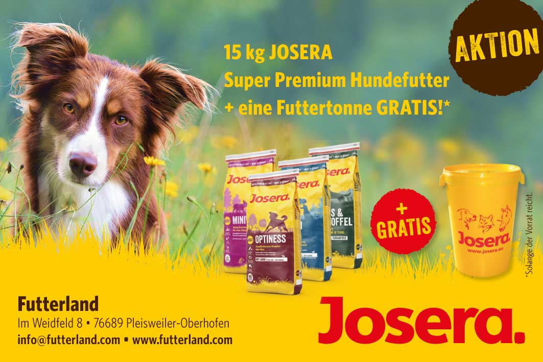 Angebot