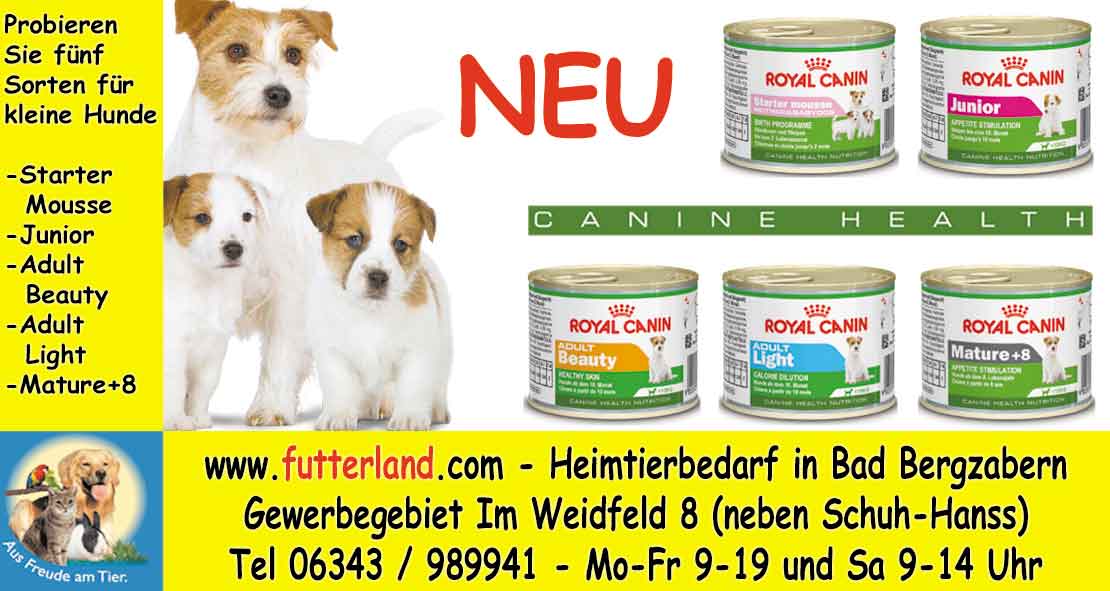 Pfalz-Echo-2012-12-17