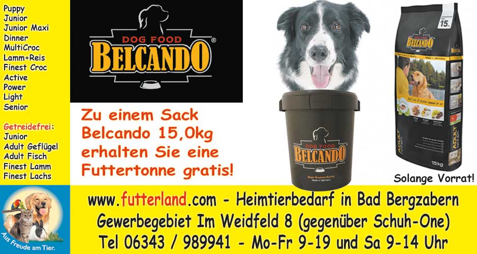 Pfalz-Echo-2015-02-23