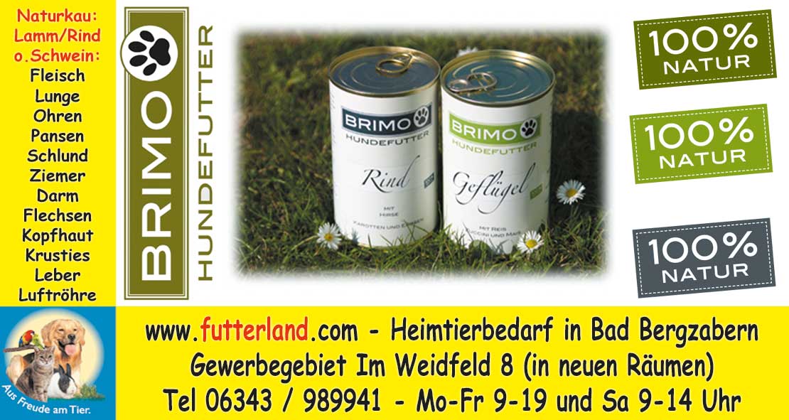 Pfalz-Echo-2015-10-26