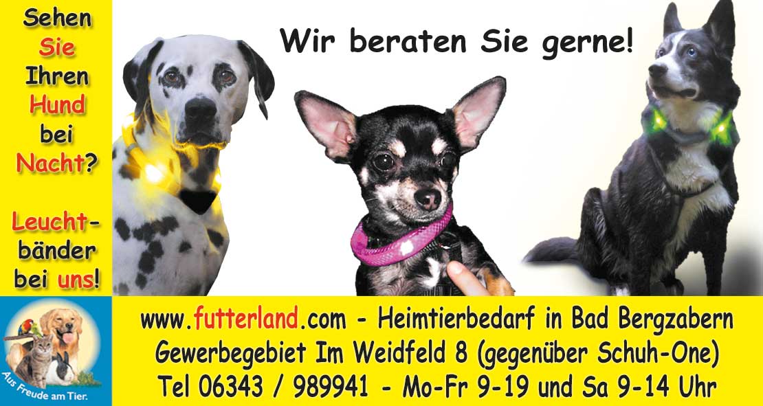 Pfalz-Echo-2016-11-28