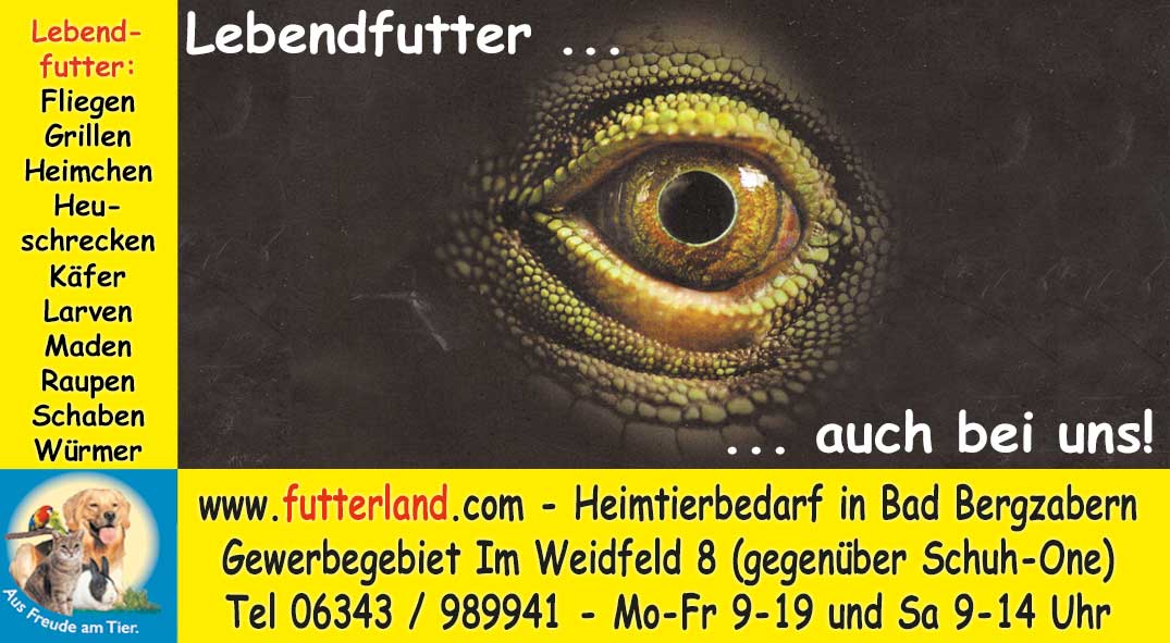 Pfalz-Echo-2018-10-29