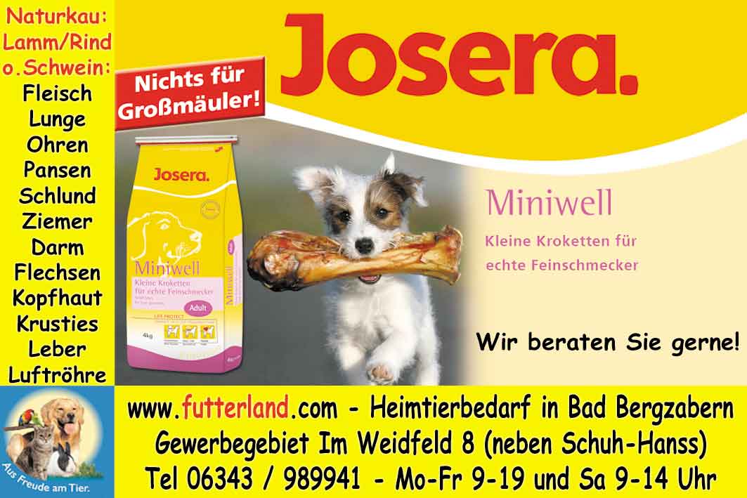 S&uuml;dpfalz-Kurier-2011-06-08