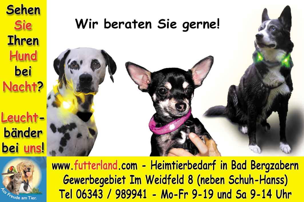 S&uuml;dpfalz-Kurier-2011-11-30