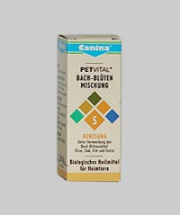 bachblueten 05
