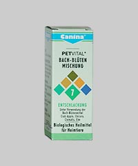 bachblueten 07