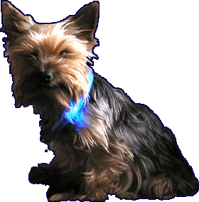 Mini-Leuchtie