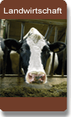 Landwirtschaft