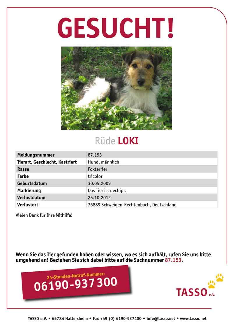 Loki