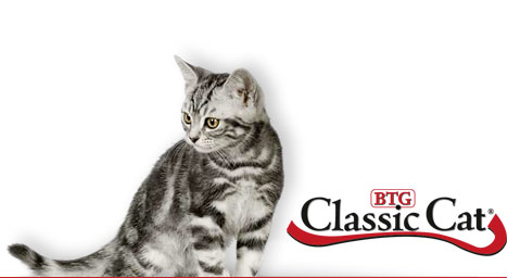 classic cat