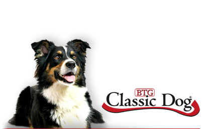 classic dog