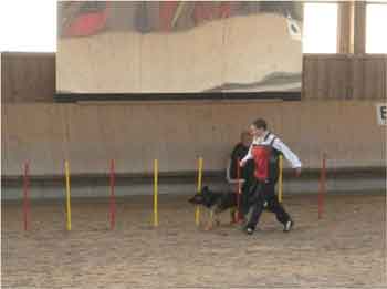 herxheim-2010-11-slalom