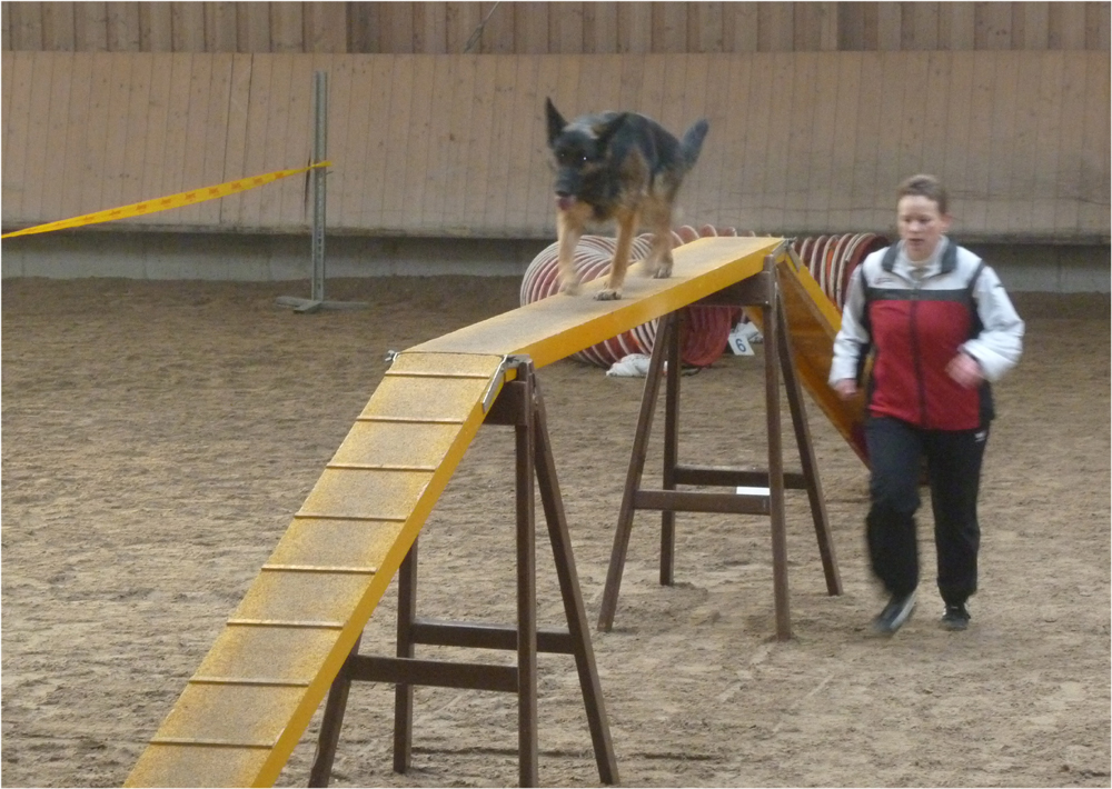 herxheim-2010-14-laufsteg