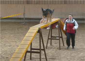 herxheim-2010-11-laufsteg