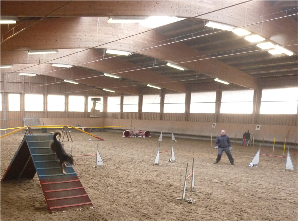 herxheim-2010-15-awand
