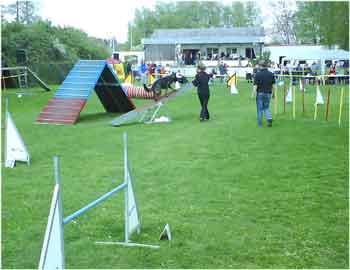 herxheim-2011-04-slalom-wippe
