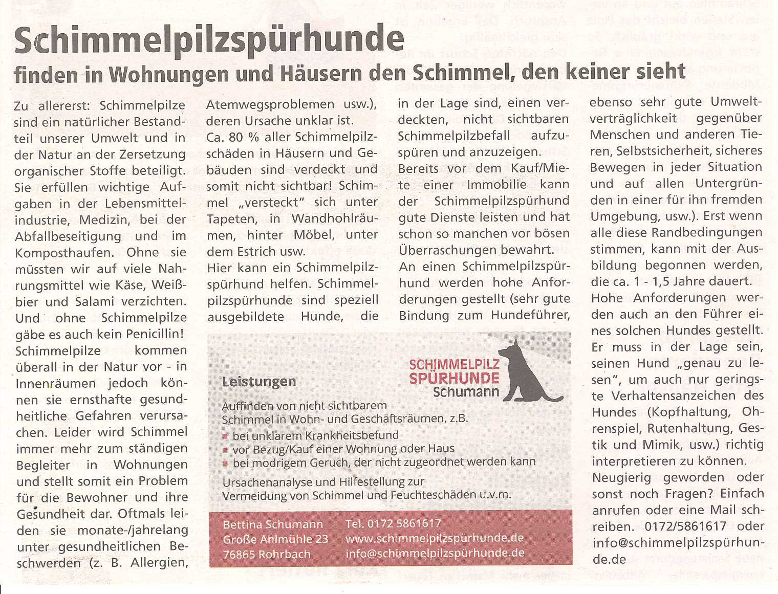 Schimmelpilzsp&uuml;rhunde