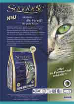 2007-37 Seite 5